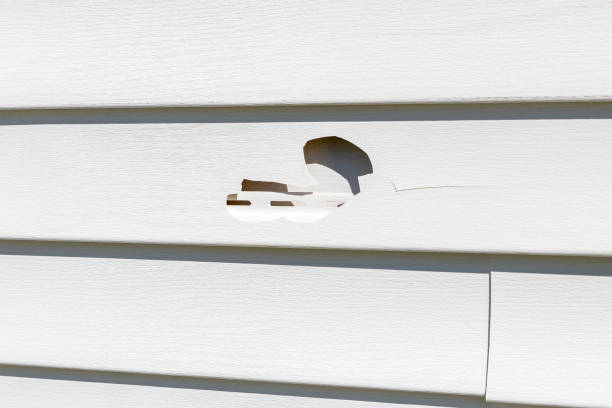 How To Choose The Right Materials for Your Siding Installation in 'Crowley, TX